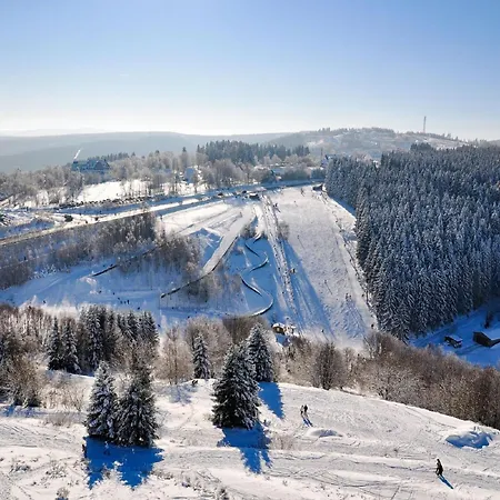 Appartement With Dishwasher, In A 500 M From The Lift Winterberg