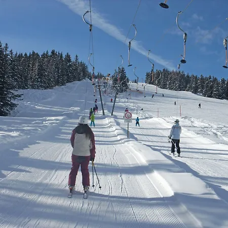 Appartement With Dishwasher, In A 500 M From The Lift *