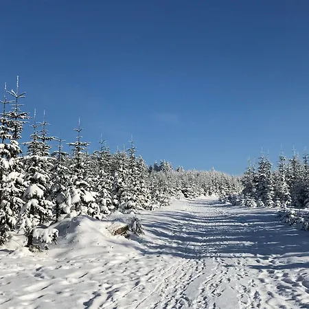 With Dishwasher, In A 500 M From The Lift